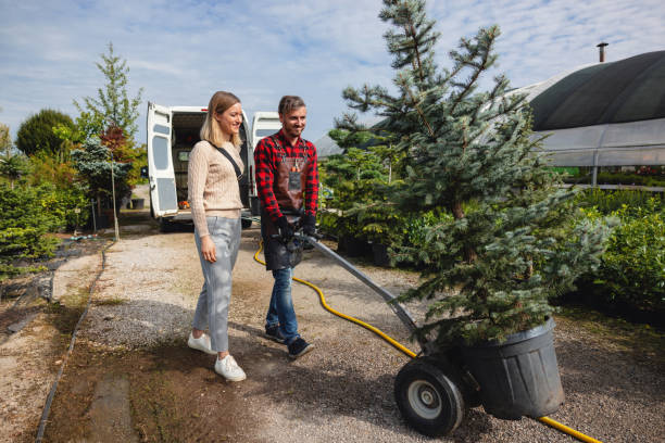 Best Tree Preservation Services  in Tecumseh, MI